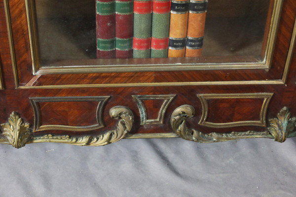 Bibliothèque Vitrine XIXe siècle
