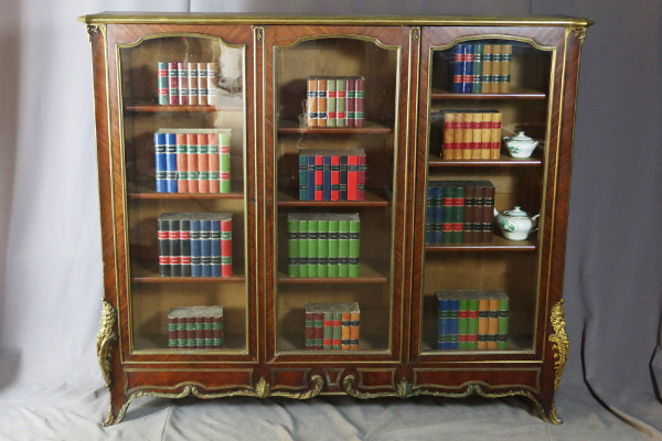 Bibliothèque Vitrine XIXe siècle