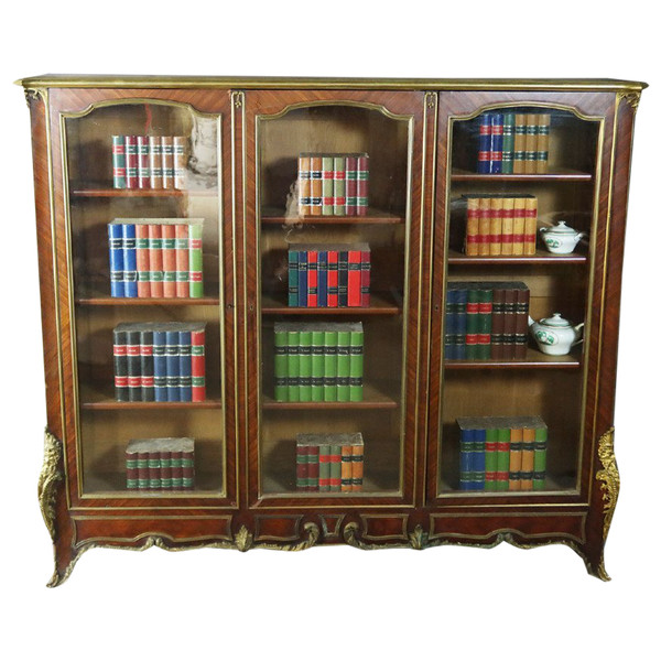 Bibliothèque Vitrine XIXe siècle