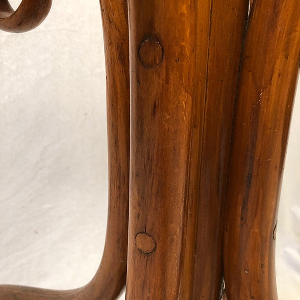 Parrot coat rack, curved wood, art nouveau period (Jacob & Josef Kohn?)