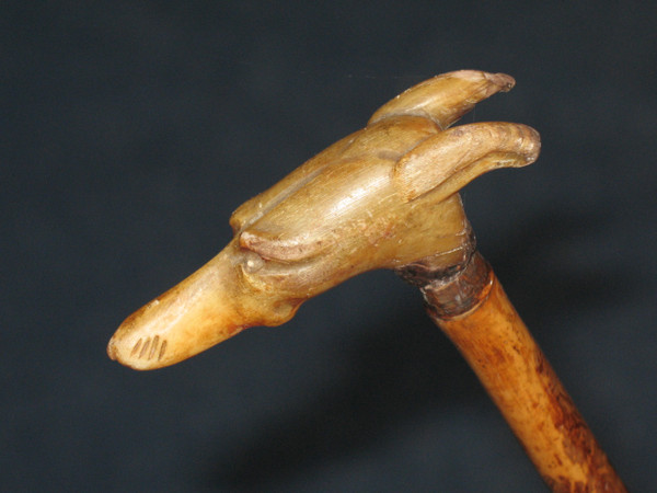 Bastone con pomello a forma di testa di levriero, fine XIX secolo