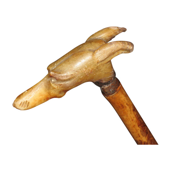 Bastone con pomello a forma di testa di levriero, fine XIX secolo
