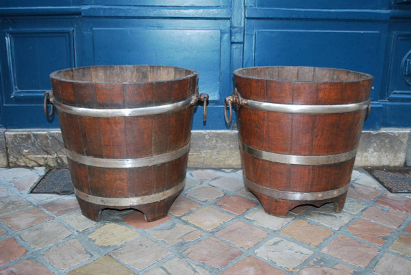 Coppia Di Casse Con Alberi Di Aranci, Inghilterra XIX