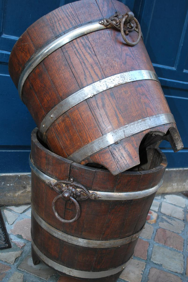 Coppia Di Casse Con Alberi Di Aranci, Inghilterra XIX