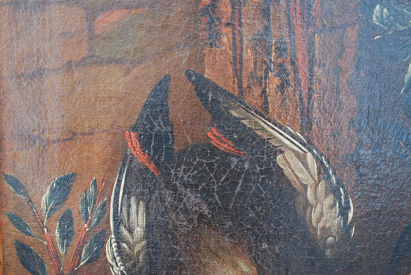 Still Life With Dog XVII Follower Of HONDE COTTER