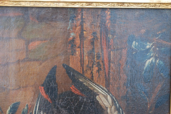 Still Life With Dog XVII Follower Of HONDE COTTER