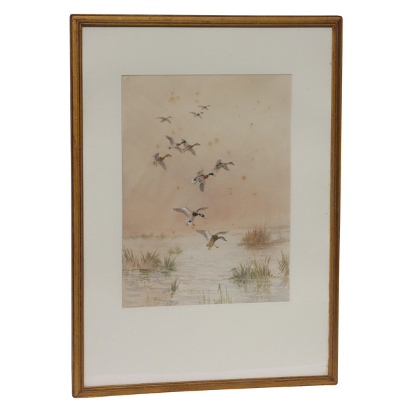 Watercolor signed by Roland Green ducks in the marshes, 20th century