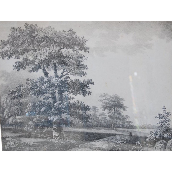 Grande Disegno Paesaggio E Alberi Firmato Wartel, XIX Secolo Periodo Impero
