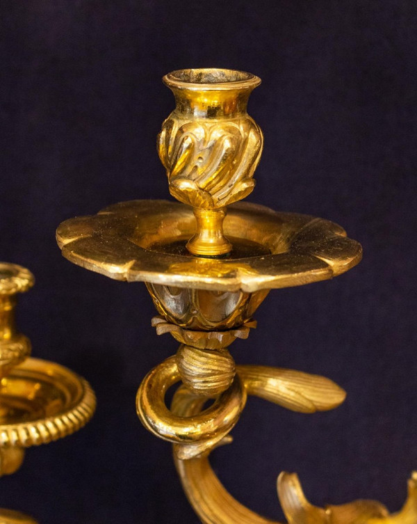 2 paia di applique a pappagallo Maison BAGUES a Parigi