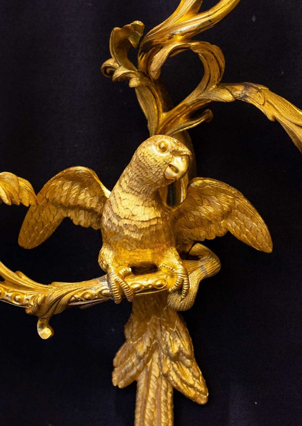 2 paia di applique a pappagallo Maison BAGUES a Parigi