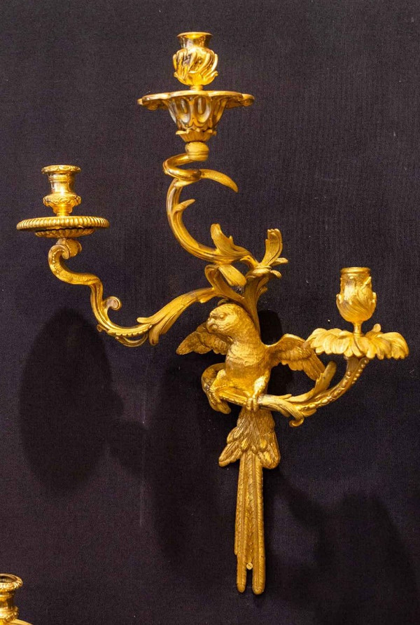 2 paia di applique a pappagallo Maison BAGUES a Parigi