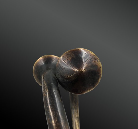 MANILLES  - Culture, Sud-est du Nigéria   - Première moitié du XXème siècle   - Bronze 