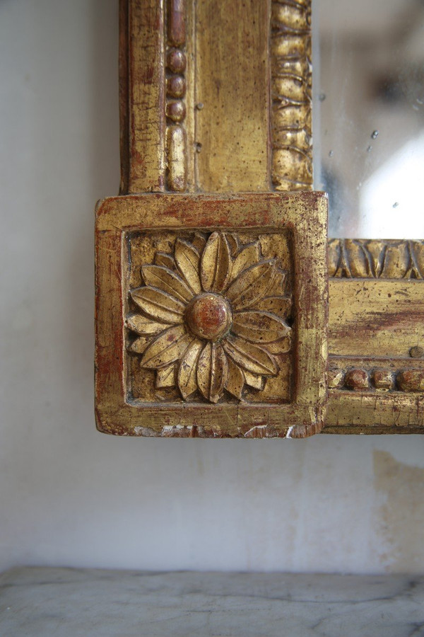 Mirror In Golden Wood, Louis XVI Period