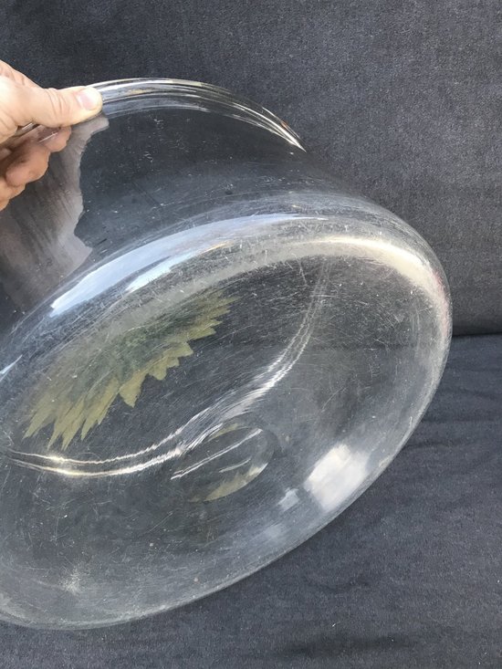 Very Large Vase Bowl Crystal Or Glass XIX Cabinet Of Curiosity