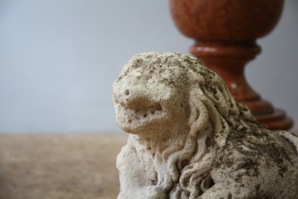 Leone scolpito in pietra calcarea, XV secolo.