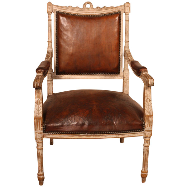 Fauteuil Louis XVI En Bois Polychrome