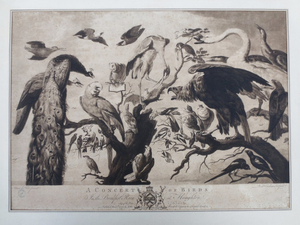 18th century engraving, “A Concert of Birds”.