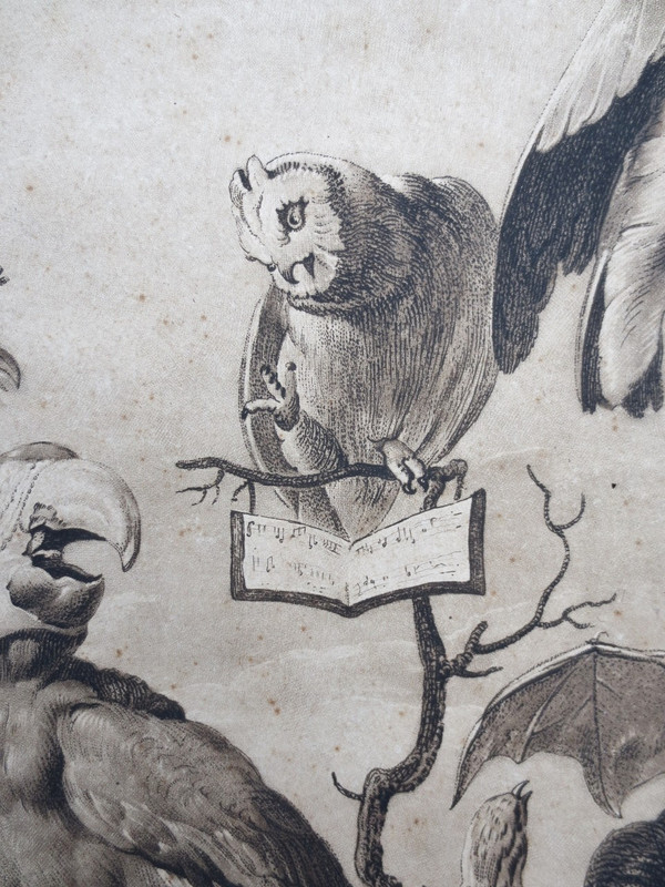 18th century engraving, “A Concert of Birds”.