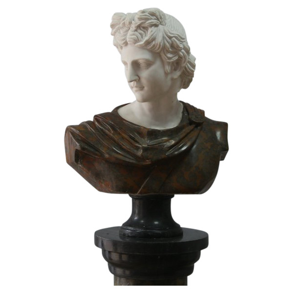 Important bust of Apollo in marble sculpted after the Apollo of Belvedere, Italy 20th century