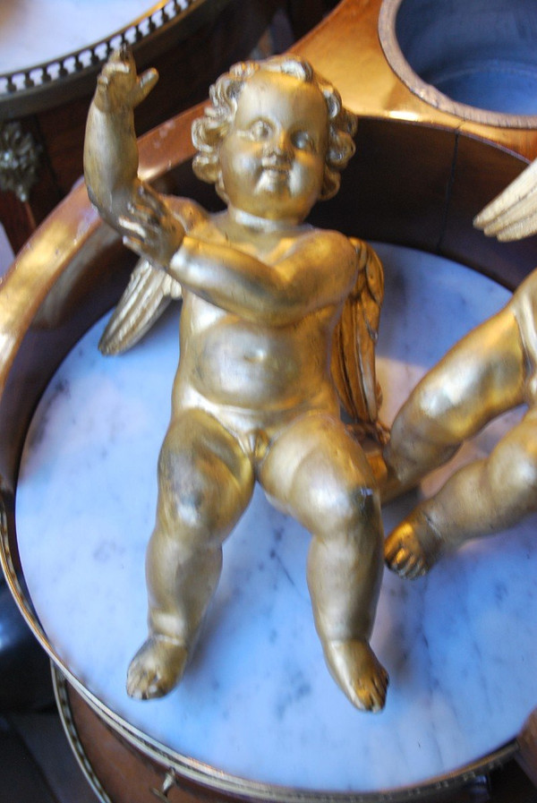 Pair In Golden Wood Italy XVIII