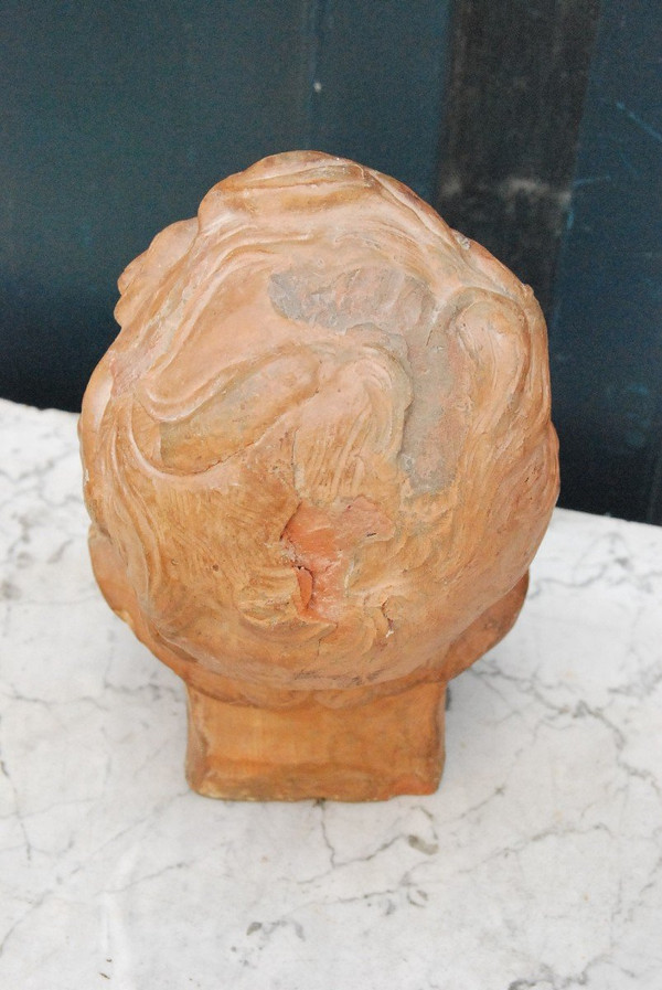 Testa Di Bambino In Terracotta Fiandre XVIII Secolo