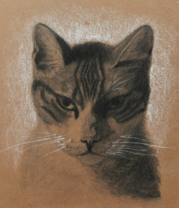 Attribué à Jules LAURENS, Tête de chat