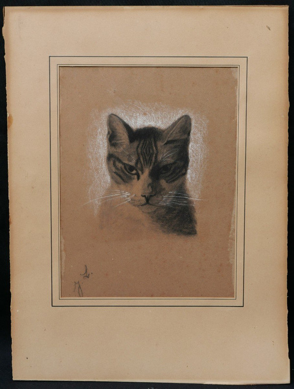Attribué à Jules LAURENS, Tête de chat