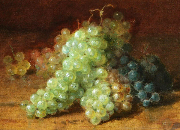 Amédée GENIN, Trauben