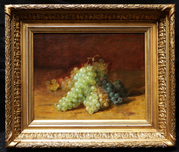 Amédée GENIN, Trauben