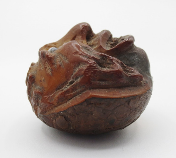Marron d'Inde sculpté, XIXe siècle.