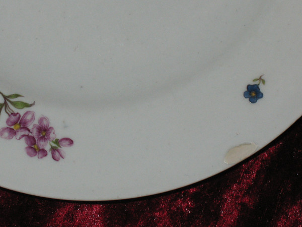 Pair of Saxony porcelain plates with floral decoration, 18th century