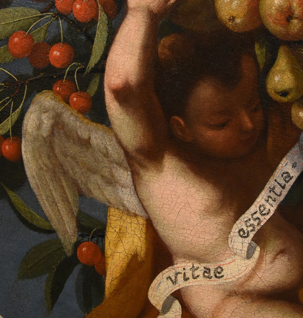 Trois Anges Tenant Une Composition De Fruits, Luigi Garzi (pistoia 1638 - Rome 1721) Attribué