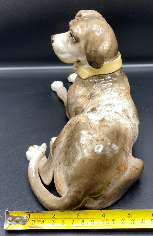CANE IN PORCELLANA DI SASSONIA