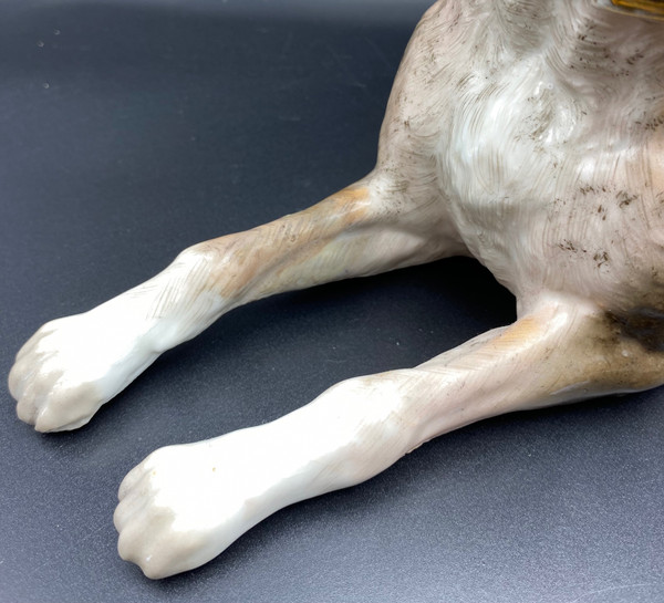 CANE IN PORCELLANA DI SASSONIA