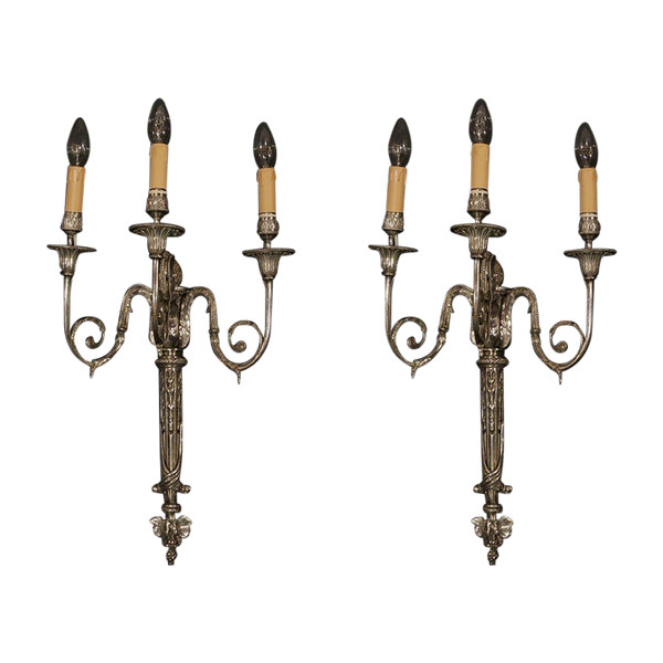 Pair of Appliques En Bronze Argenté, Louis XVI