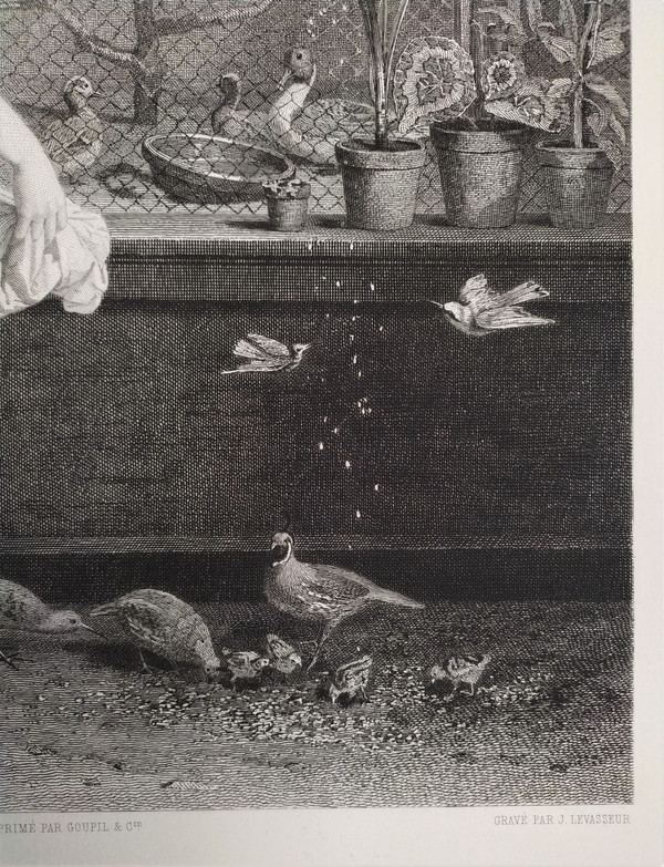 Etching the Girl With Chicks Engraving After Jean-louis Hamon Old Print