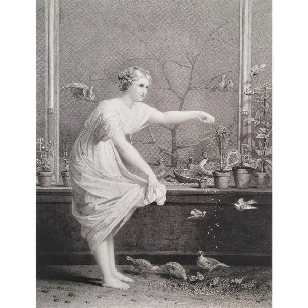 Etching the Girl With Chicks Engraving After Jean-louis Hamon Old Print