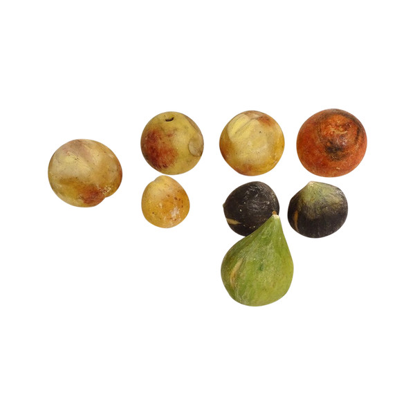 Ensemble 8 Fruits Marbre Carrare Polychrome Pommes Figues Abricot XIXème