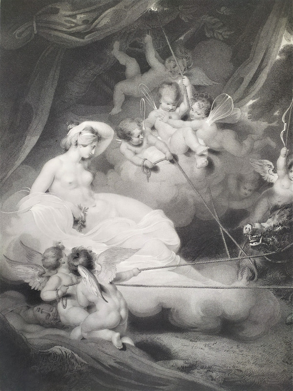 Mythological Etching Empire Period Engraving Venus And Adonis Old Print 19th c