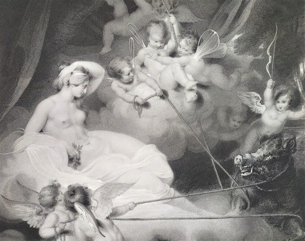 Mythological Etching Empire Period Engraving Venus And Adonis Old Print 19th c