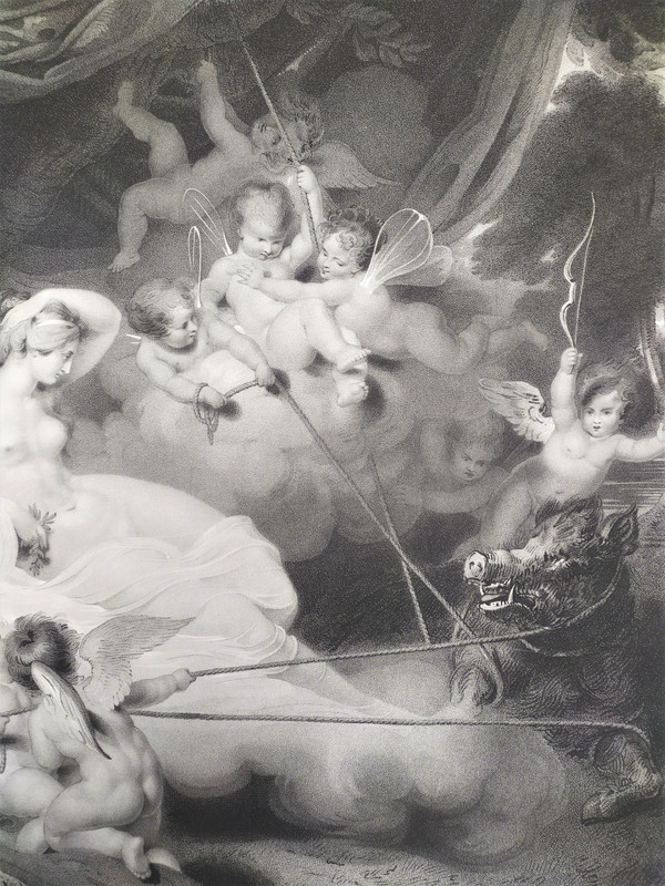 Mythological Etching Empire Period Engraving Venus And Adonis Old Print 19th c