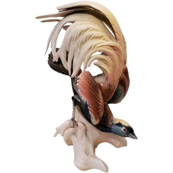 Manufacture Karl Ens Meissen Paradisier Oiseau Du Paradis
