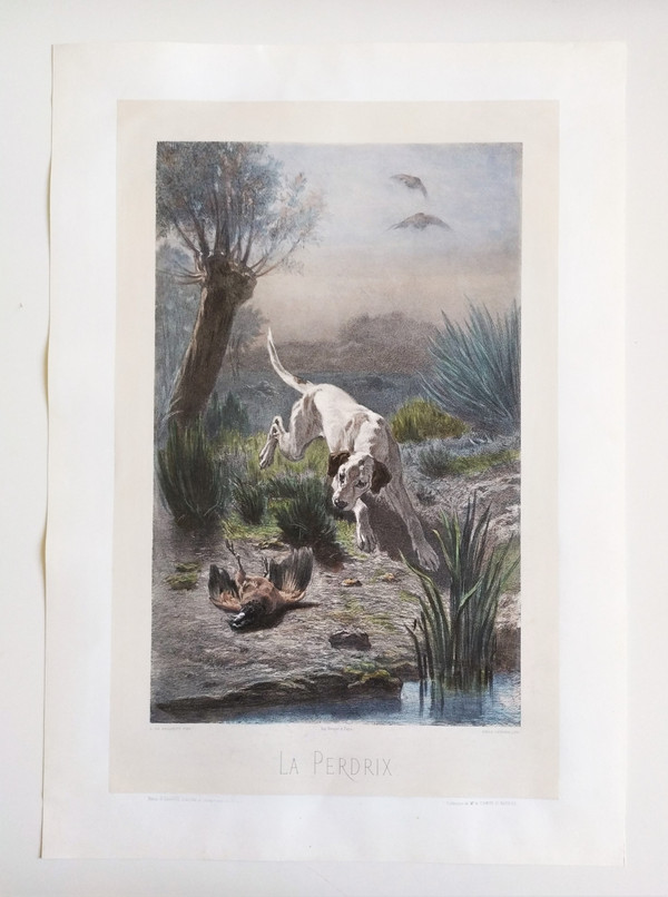 Hund Jagd Aquarellierte Lithographie nach Albert Felix Justin de la Cour de Balleroy