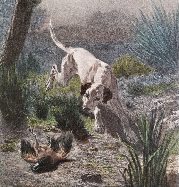 Hund Jagd Aquarellierte Lithographie nach Albert Felix Justin de la Cour de Balleroy