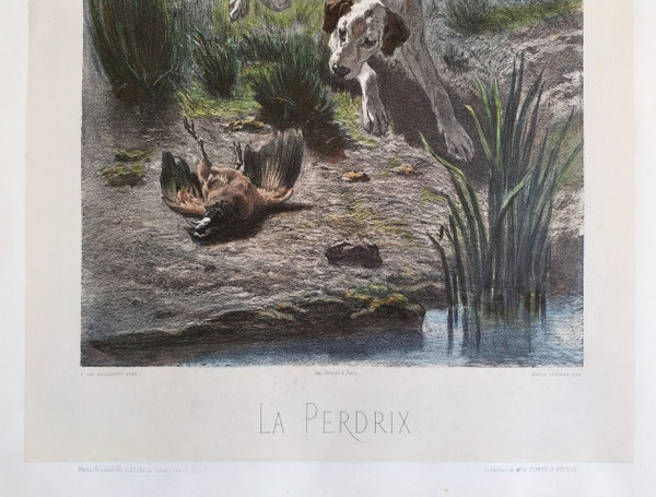 Hund Jagd Aquarellierte Lithographie nach Albert Felix Justin de la Cour de Balleroy