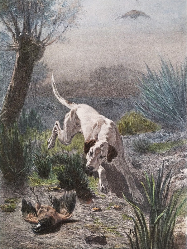 Hund Jagd Aquarellierte Lithographie nach Albert Felix Justin de la Cour de Balleroy