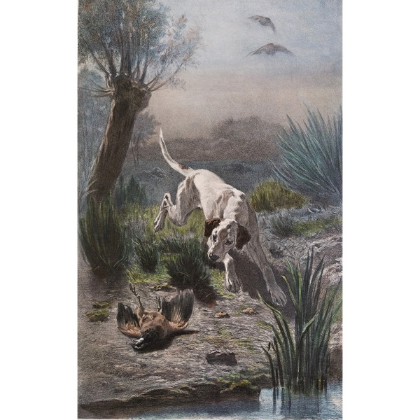 Hund Jagd Aquarellierte Lithographie nach Albert Felix Justin de la Cour de Balleroy