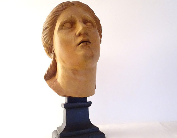 Scultura testa di giovane donna Afrodite in legno naturale scolpito fine XIX secolo
