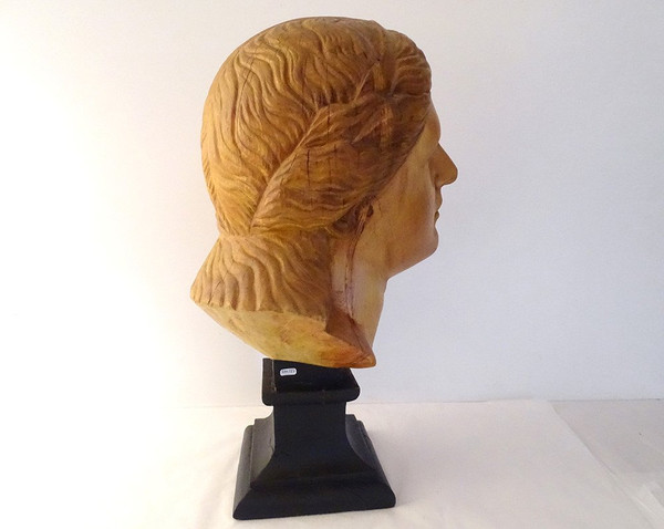 Scultura testa di giovane donna Afrodite in legno naturale scolpito fine XIX secolo