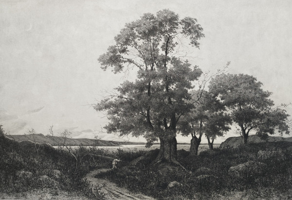 Landschaft der Loire Radierung von Pirodon nach Harpignies 19